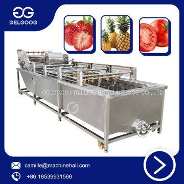 Bubble Washer Factory Price Fruit Washing Machine Bubble Washing Machine Vegetable And Fruit