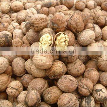 Walnut & Walnut Kernel for sale/New crop Wholesale Walnut kernel