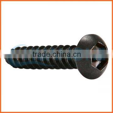 China Supplier Galvanized Anti-theft Screw photo-4