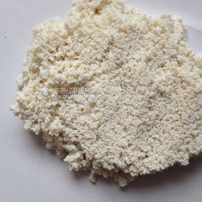 Biodiesel catalyst resin