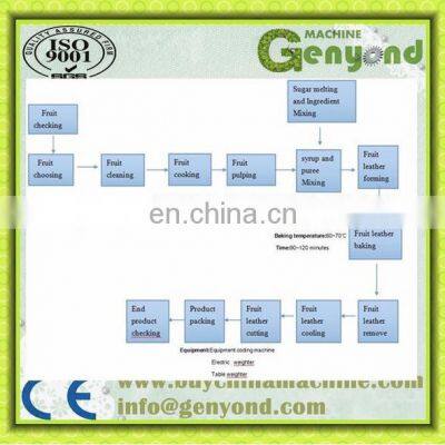 Hot Sale Fruit Leather Production Line From Manufacturer photo-4