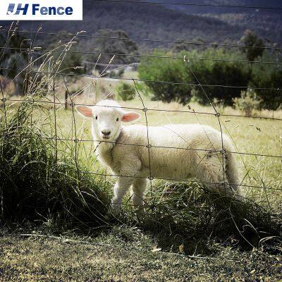Farm Animal Goat Deer Fence Livestock Fence Cattle Horse Sheep Grassland Fence photo-4