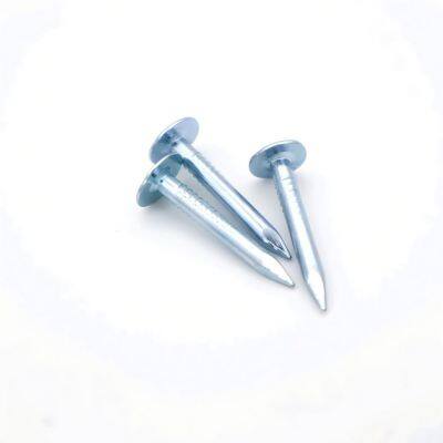 Q195 Steel Felt Clout Nails for Roofing Felt With Large Head Design photo-4