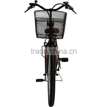 Top Quality High Power Electric Bike