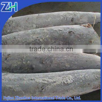 Frozen Stripped Marlin DWT (kajikia audax) Origin China