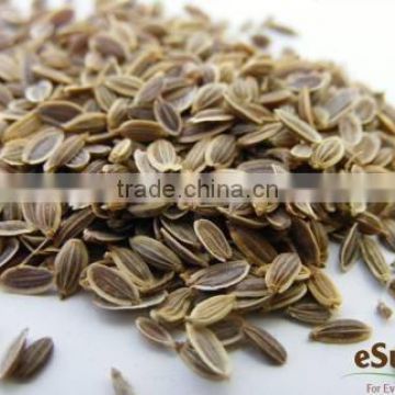 100% Pure Natural Dill Seed Essential Oil