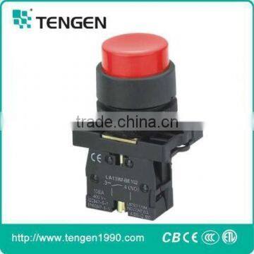 Higher Quality Plastic Protruding Button Switch