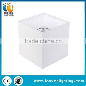 Bottom price hot sell 20w low price cob downing light