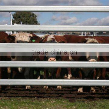 heavy duty Hot dipped galvanized cattle yard panels, livestock panel china