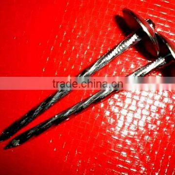 twisted shank galvanized roofing nails