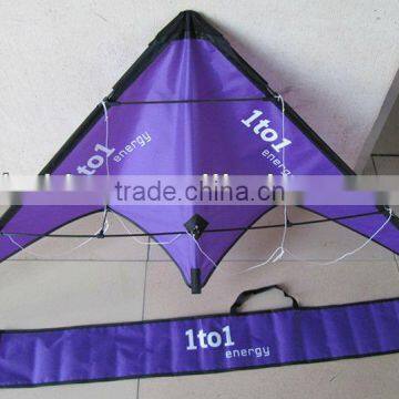 Dual line stunt Kite from kite maufacturer