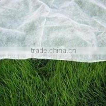 Anti UV pp Spunbond Nonwoven Fabric for Plant Cover Shandong Fuhua Nonwovens