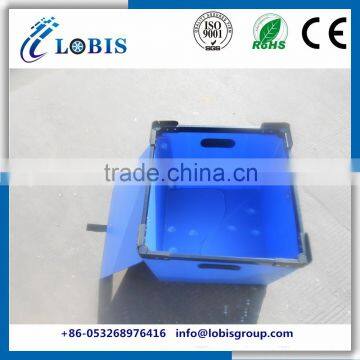 Durable High Quality Colorful PP Corflute Box