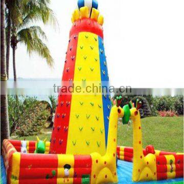 Europe Inflatable Climbing Wall(PVC)