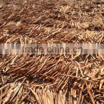 High Quality Cassia (website: Vietkhoico.ltd) photo-3