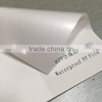 Waterproof PP Paper Matte, Roll Up Use Matt PP Paper photo-3