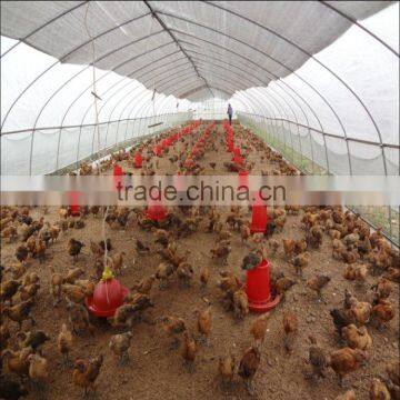 2015 New design steel structure chicken house