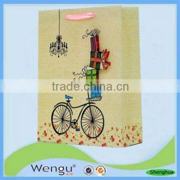 fancy present paper bag in unique design with pp ribbon handle made in china supplier and manufacture