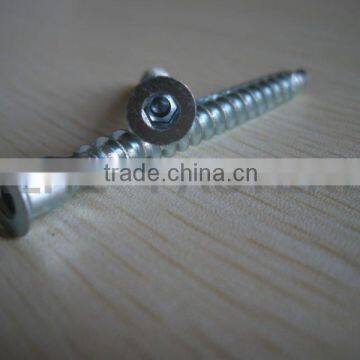 zhejiang cabin furniture screws with hex dirve