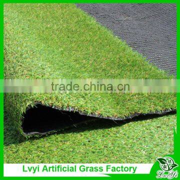 Natural landscape grass