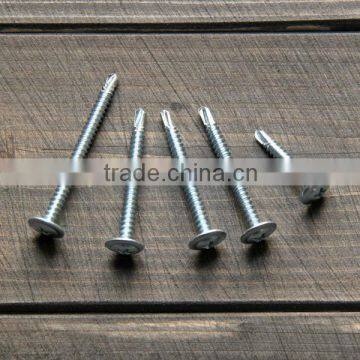 Truss Head Phillips Self Tapping Screw Zinc Plated Roofing Screw photo-3