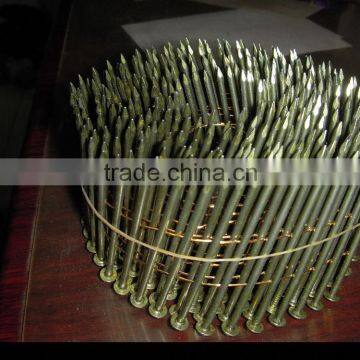 High Quality Free Sample Common Coil Nail photo-3