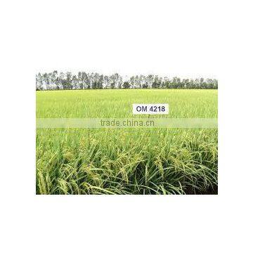 VIETNAM WHITE AND SOFT RICE 5% BROKENS - OM 4218 photo-2