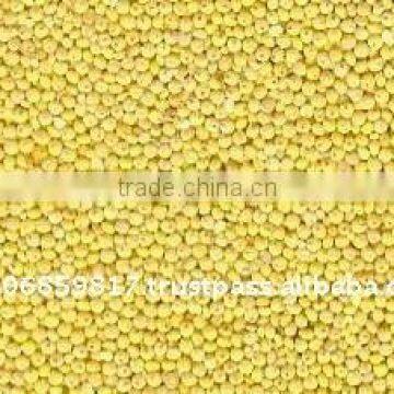 organic hulled millet