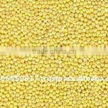 Organic Hulled Millet