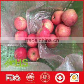 Cheap New Honey Fuji Apples With Rich Vitamin photo-3