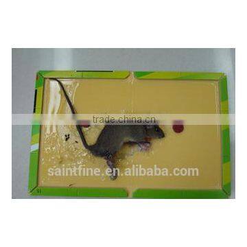 Best Selling Quality Factory Direct Supply Mouse Glue Trap photo-4
