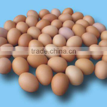 FRESH CHICKEN EGGS photo-3