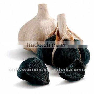 black garlic