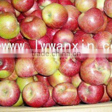 Chinese Jiguan Apple