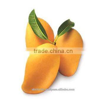 The Best Alphonso Mango Pulp