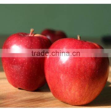 2016 New crop New season Huaniu apple Fresh apple China Gansu Tianshui Huaniu apple