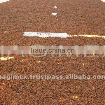 Best Selling Broken Star Anise Aniseeds From Vietnam, High Quality by HAGIMEX photo-2