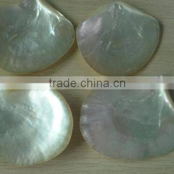 Polished Whitelip Mother of Pearl Shell Inlay photo-2