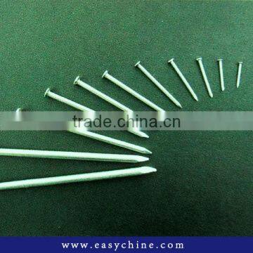 Usage Wide Common Iron Nail