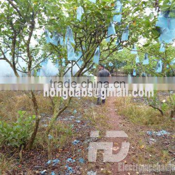 Fogging Machine for Pest Control photo-4