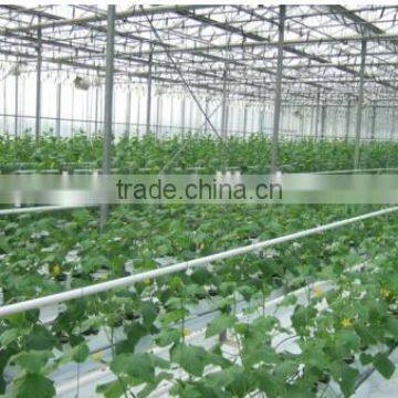China Direct Selling Beautiful High Quality Venlo Greenhouse Can be Used to Planting Grows photo-2