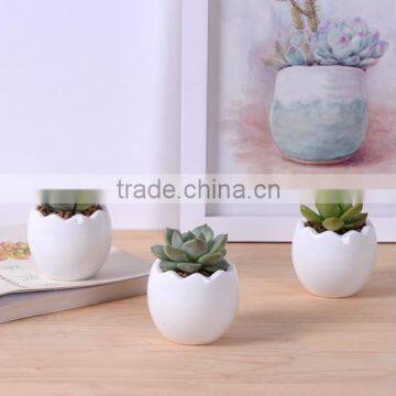 Amazon Hotsell Eggs Design Ceramic Succulent Planters