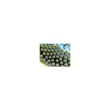 Tungsten Carbide Ball photo-3