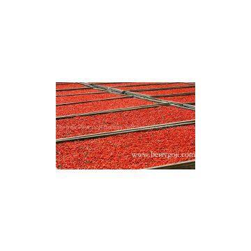 High Quality Goji Berry Powder, Bulk photo-2