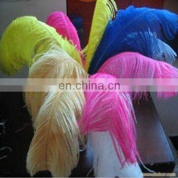 hot sale white 20-22inch genuine ostrich wing plume