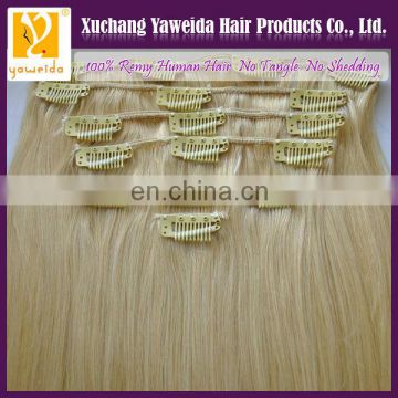 5A top quality european virgin hair clip in hair extension