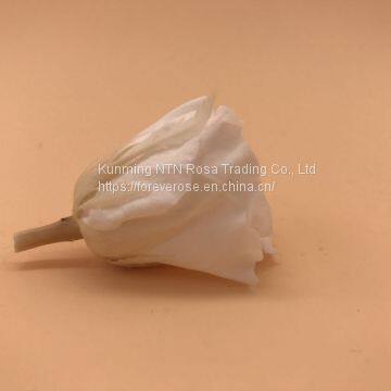 Timeless Moments Flowers Preservation for Anniversary Decoration photo-4