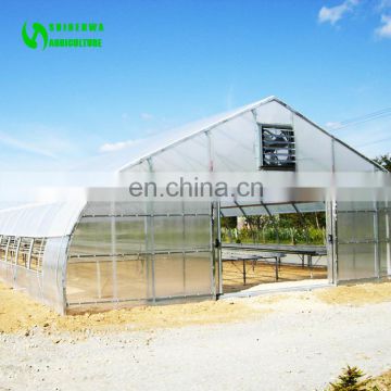 Hot Sale Single Span Polytunnel Hoop Greenhouse For Vegetable