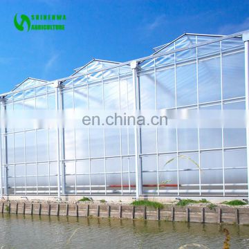 Galvanized Steel Structure PC Sheet Cover Used Commercial Greenhouses