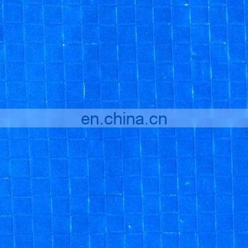 Rubber Floor Rolls Cheap PE Tarpaulin Offer Sheet Outdoor Tarp Rolls Blue for Waterproof photo-2